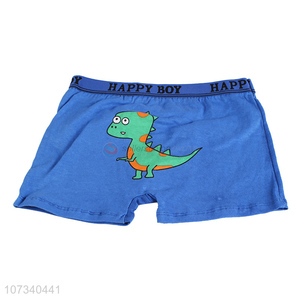 Custom Cartoon Dinosaur Pattern Boxer Shorts For Boys