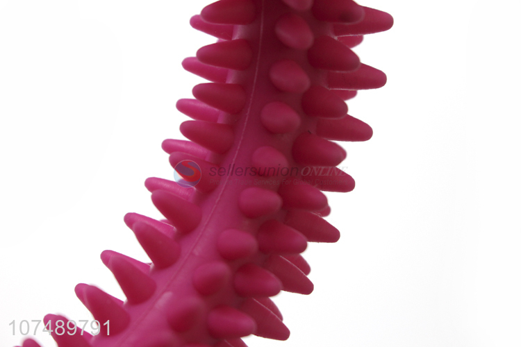 Good Quality Colorful Thorn Circle Pet Chew Toy For Dog