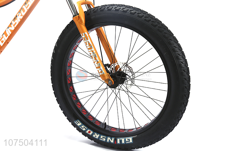 Factory Direct Sell Cool Style Mountain Bike Fat Tyre Snow Bike