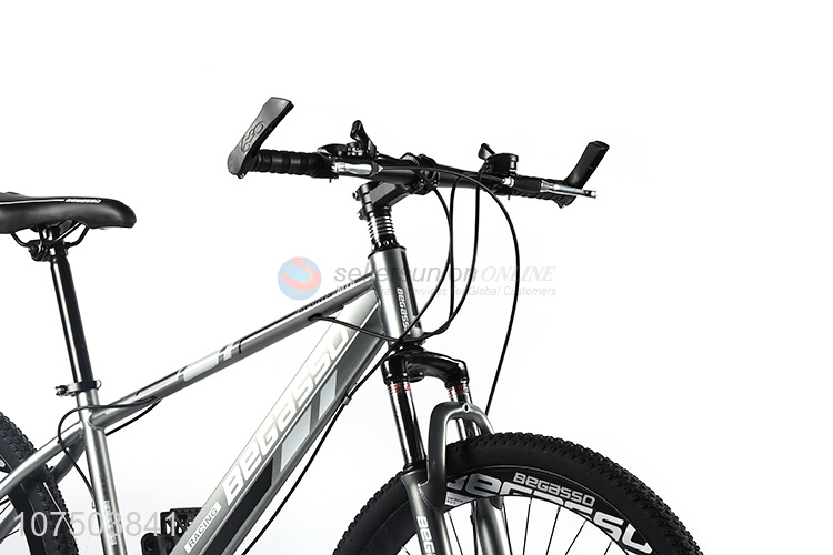 Custom 21 Speed Cycling Mountain Bike Mountain Bicycle