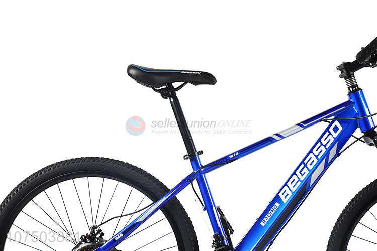 Best Price Carbon Steel Frame Mountain Bike Mountain Bicycle