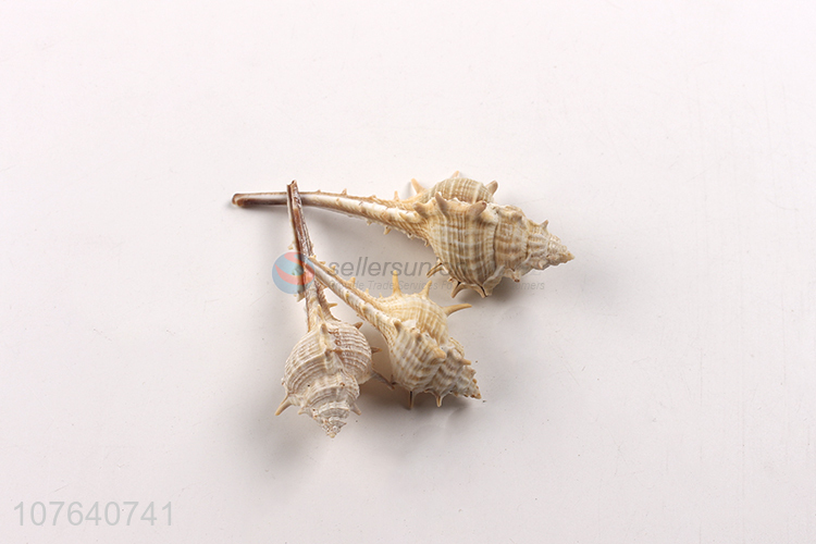 High quality seascape accessories long spiny snail natural shell