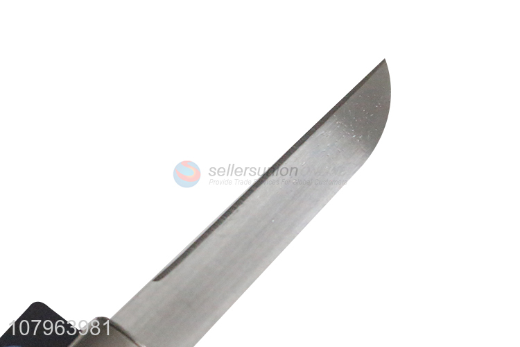 Factory supply silver stainless steel kitchen fruit knife wholesale