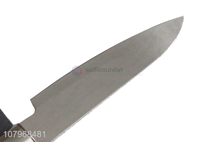 Custom Stainless Steel Knife Best Fruit Knife Kitchen Knife