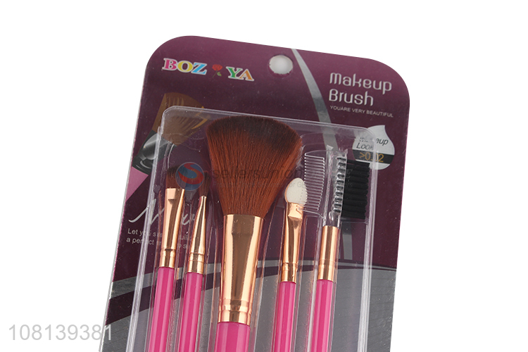 Low price wholesale pink plastic beauty brush set for ladies