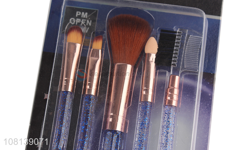 Hot selling blue plastic powder paint ladies beauty brush set