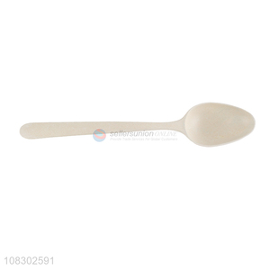 Best Price Plastic Spoon Cheap Soup Spoon Wholesale