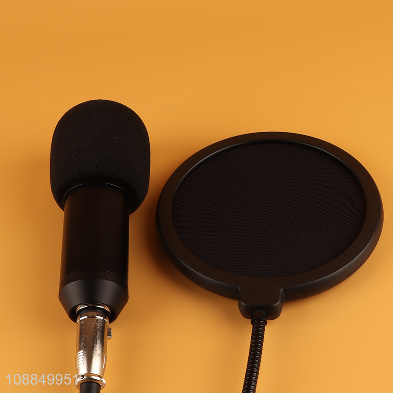 Online wholesale professional legendary vocal condenser microphone