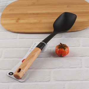 Online wholesale nylon cooking spoon with acacia wood handle