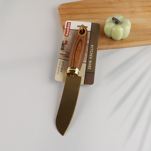 Top quality home restaurant kitchen tool kitchen knife fruits knife