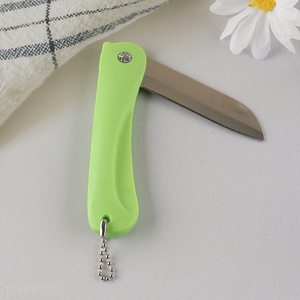 Factory Supply Folding Knife Stainless Steel Travel Fruit Knife