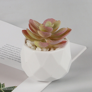 New product natural artificial potted succulent plants for home office decor