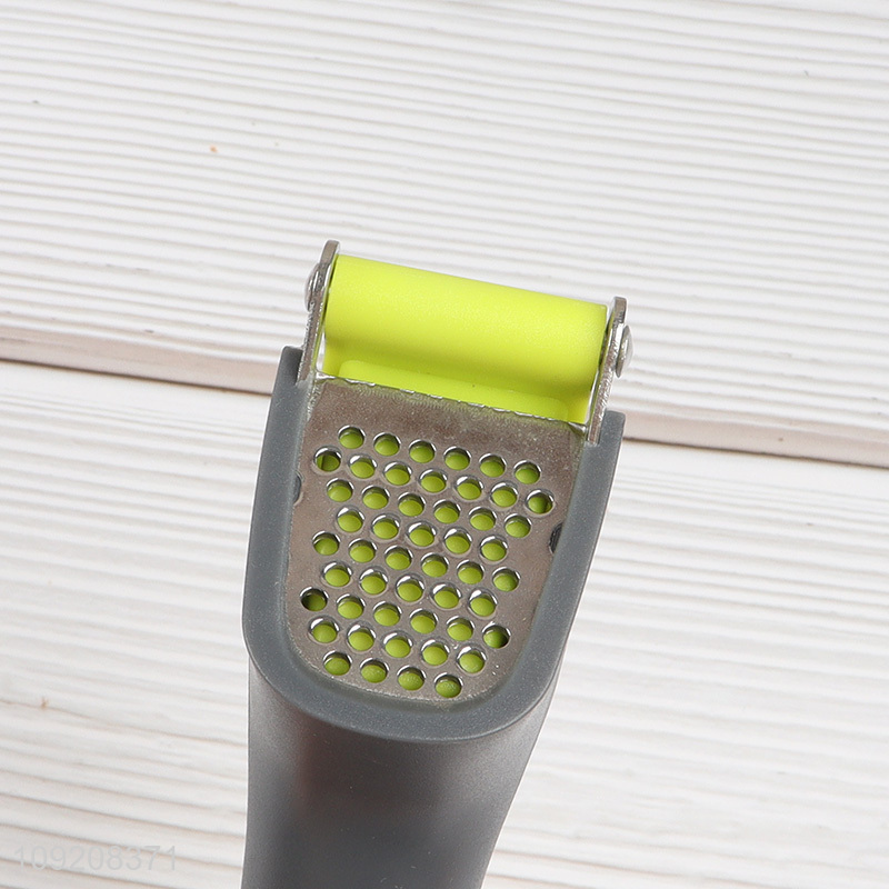 Top products professional kitchen gadget garlic  tool garlic press for sale