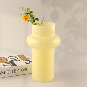 Top quality home decor living room glass <em>flower</em> <em>vase</em> hydroponic <em>vase</em>