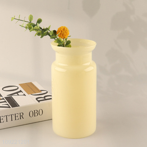Hot selling indoor decor glass <em>flower</em> <em>vase</em> hydroponic <em>vase</em> wholesale