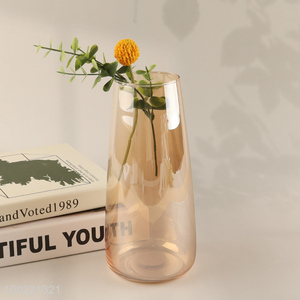 New arrival living room decor indoor glass <em>flower</em> <em>vase</em> hydroponic <em>vase</em>