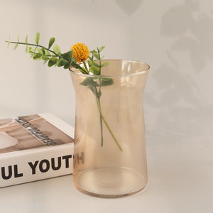 Popular products glass <em>flower</em> <em>vase</em> hydroponic <em>vase</em> indoor home decor <em>vase</em>
