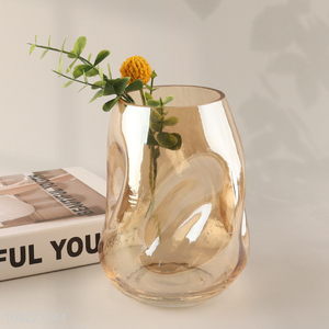 Top quality modern style home indoor decor glass <em>flower</em> <em>vase</em> hydroponic <em>vase</em>