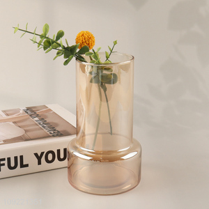 Low price home indoor decor desktop glass <em>flower</em> <em>vase</em> hydroponic <em>vase</em>