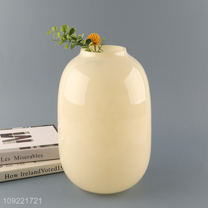 Top quality modern style <em>flower</em> <em>vase</em> hydroponic <em>vase</em> bud <em>vase</em> for tabletop