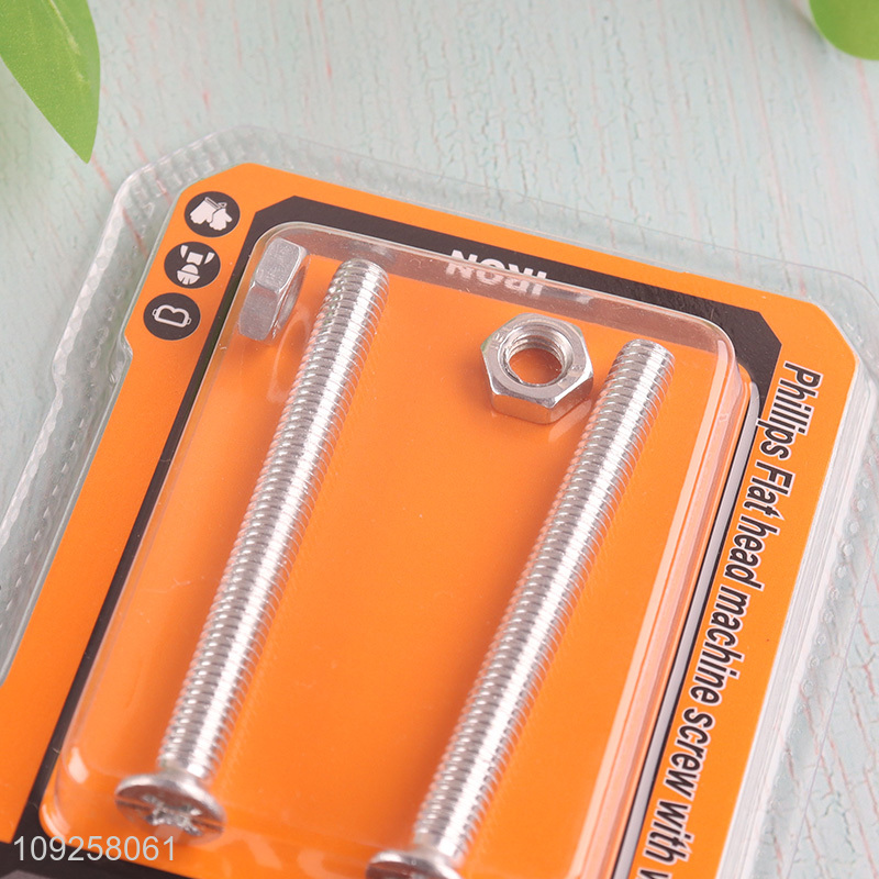 Factory Supply 2 Pieces M6 Iron Screws and Nuts Set Hardware Assortment Kit