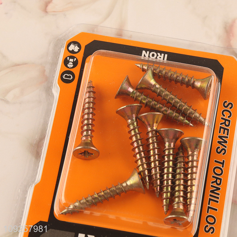 New Arrival 10 Pieces Self Tapping Screw Set Iron Self Tapping Screws Set