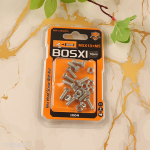 China Imports 10 Pieces M5 Iron Screws and Nuts Set Hardware Assortment Kit