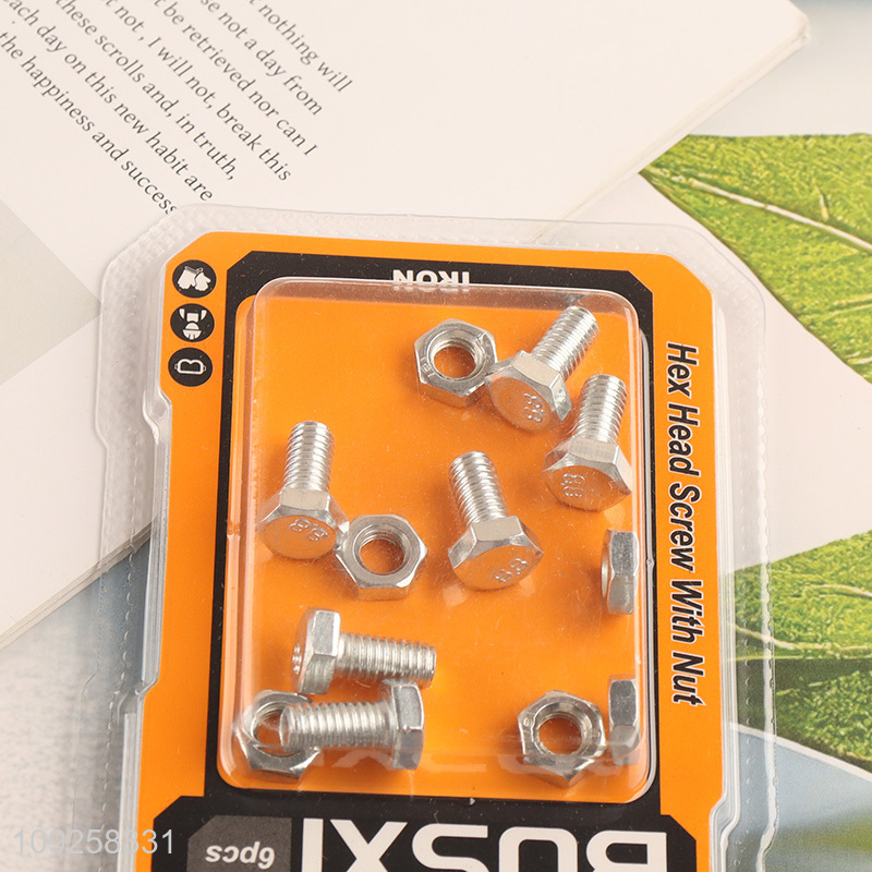 Factory Supply 6 Pieces M6 Iron Screws and Nuts Set Hardware Assortment Kit