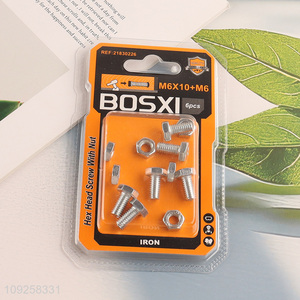 Factory Supply 6 Pieces M6 Iron Screws and Nuts Set Hardware Assortment Kit