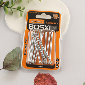 Factory Price 12PCS Iron Nails for Indoor Outdoor Woodworking Construction Site