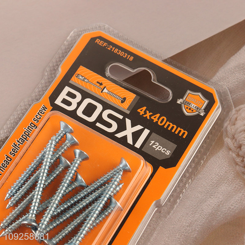 New Arrival 12 Pieces Self Tapping Screw Set Iron Self Tapping Screws Set