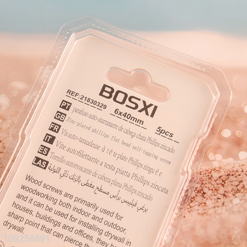 Good Quality 5 Pieces Self Tapping Screw Set Iron Self Tapping Screws Set