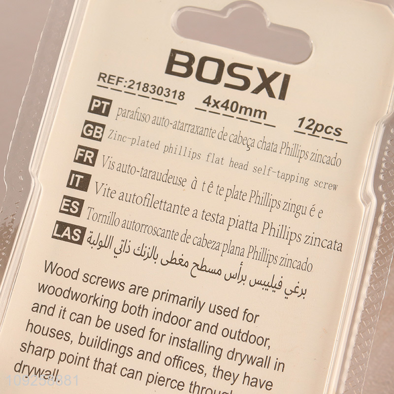 New Arrival 12 Pieces Self Tapping Screw Set Iron Self Tapping Screws Set