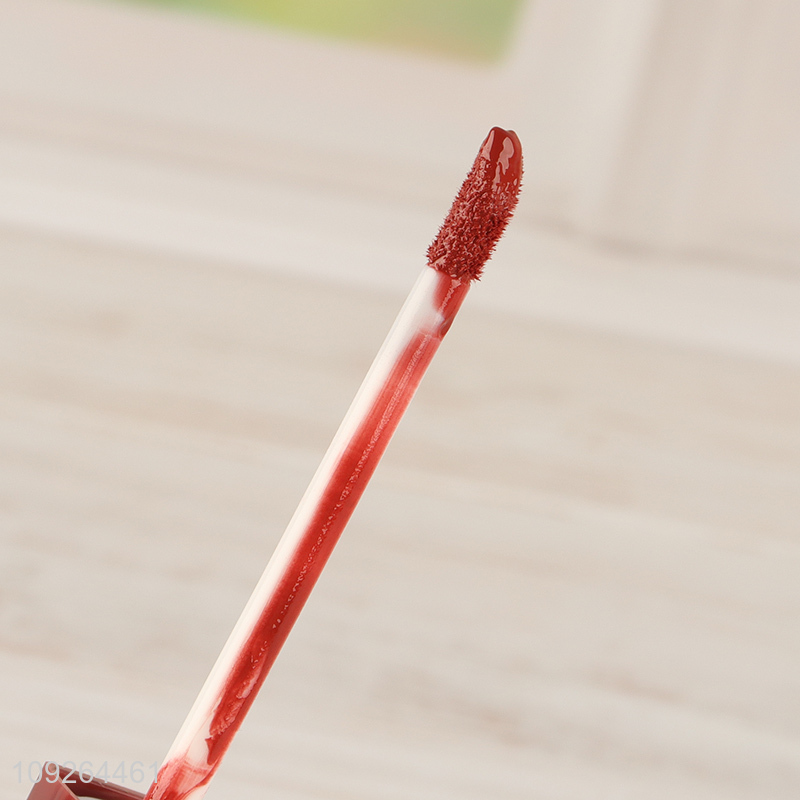 High Quality Matte Lip Gloss High Pigmented Long Lasting Waterproof Lip Gloass