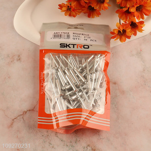 Hot selling 4*25mm 50pcs blind rivet hardware iron nail set