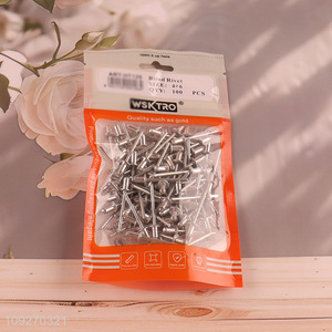 Low price 100pcs professional blind rivet hardware iron nail