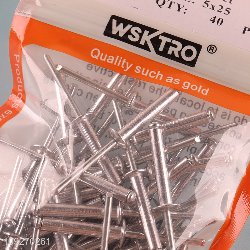 Top selling 40pcs 5*25mm professional blind rivet hardware iron nail
