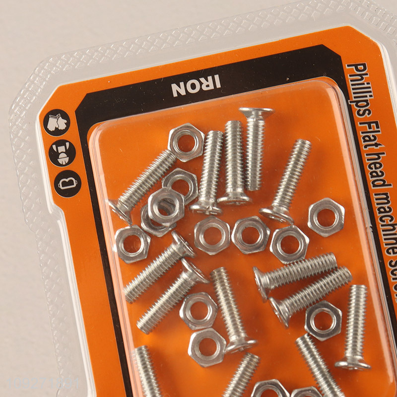 Factory supply iron screws and nuts set hardware assortment kit