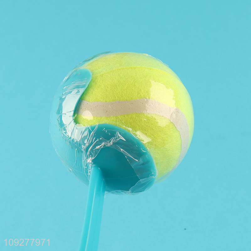 Top products pet interactive toys pet throwing ball toys