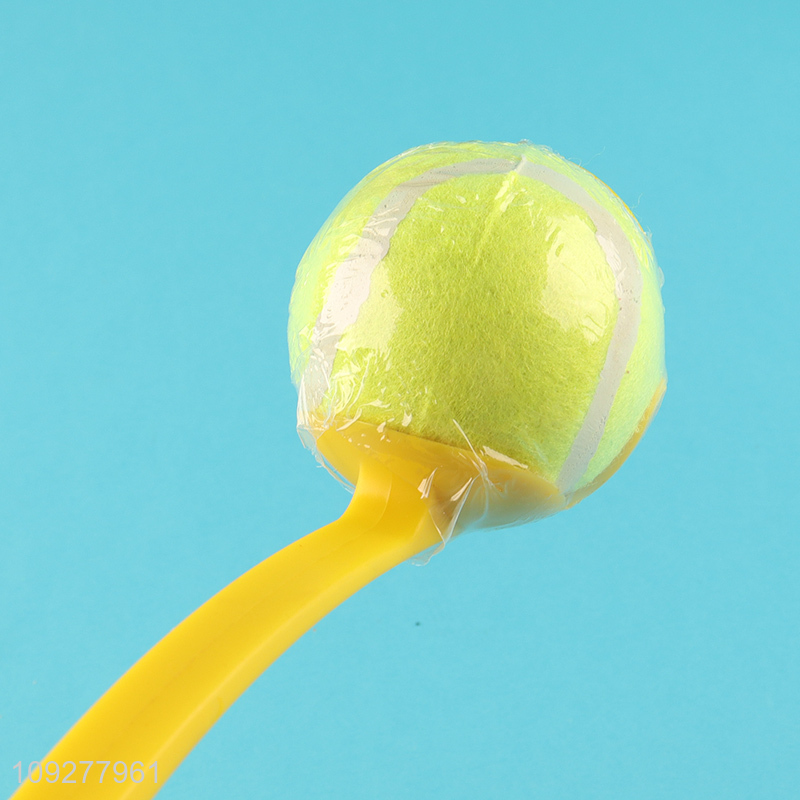 New arrival outdoor pet interactive pet throwing ball toys