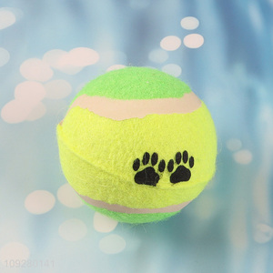 China wholesale pet training pet interactive toys pet ball toys