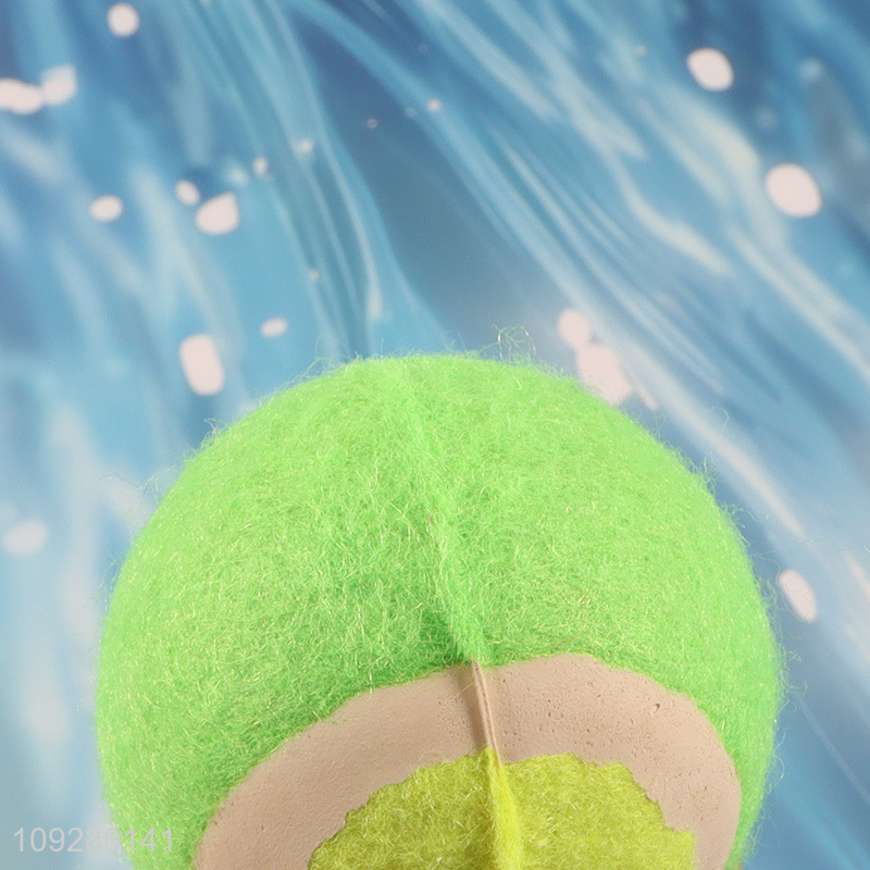 China wholesale pet training pet interactive toys pet ball toys