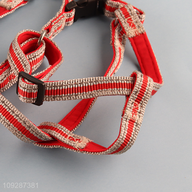 Top quality outdoor anti-lost pet collar pet leash